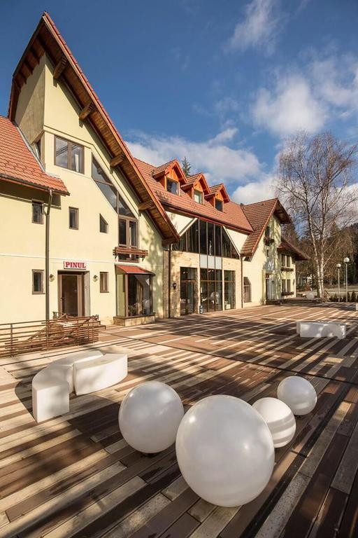 Vila Pinul Si Mesteacanul Hotel Poiana Brasov Exterior foto